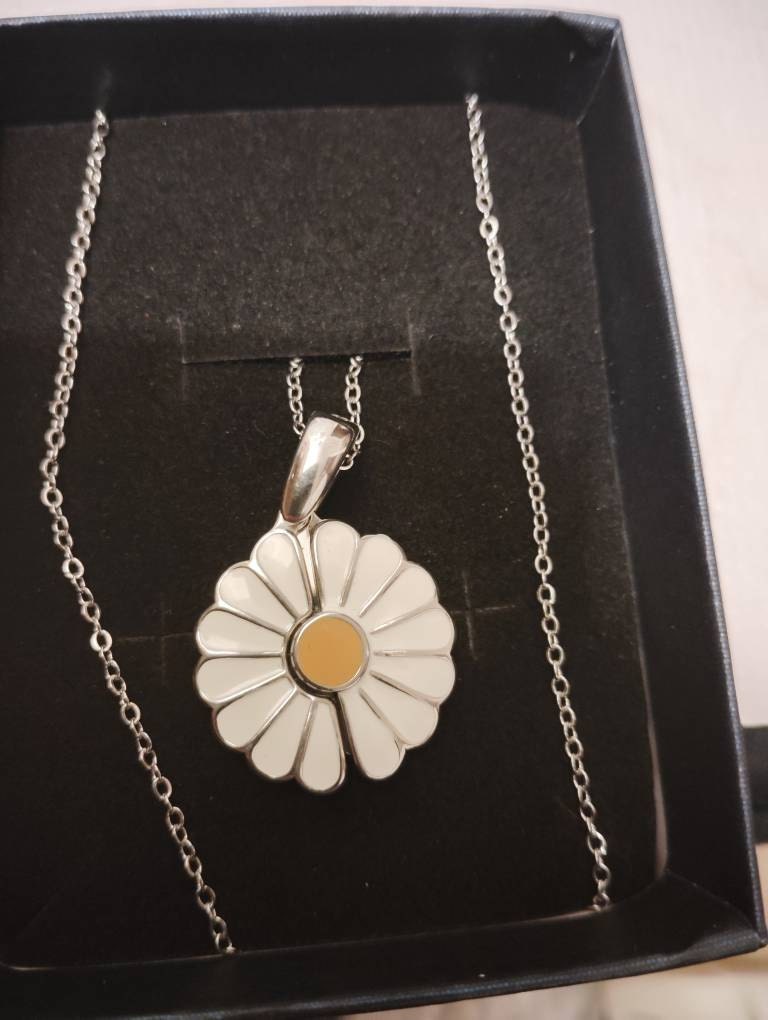 Personalized Hidden Message Daisy Locket Necklace - Customizable Gift for Her, God Mother Gift, tiny mustard seed, Christian Gifts for her