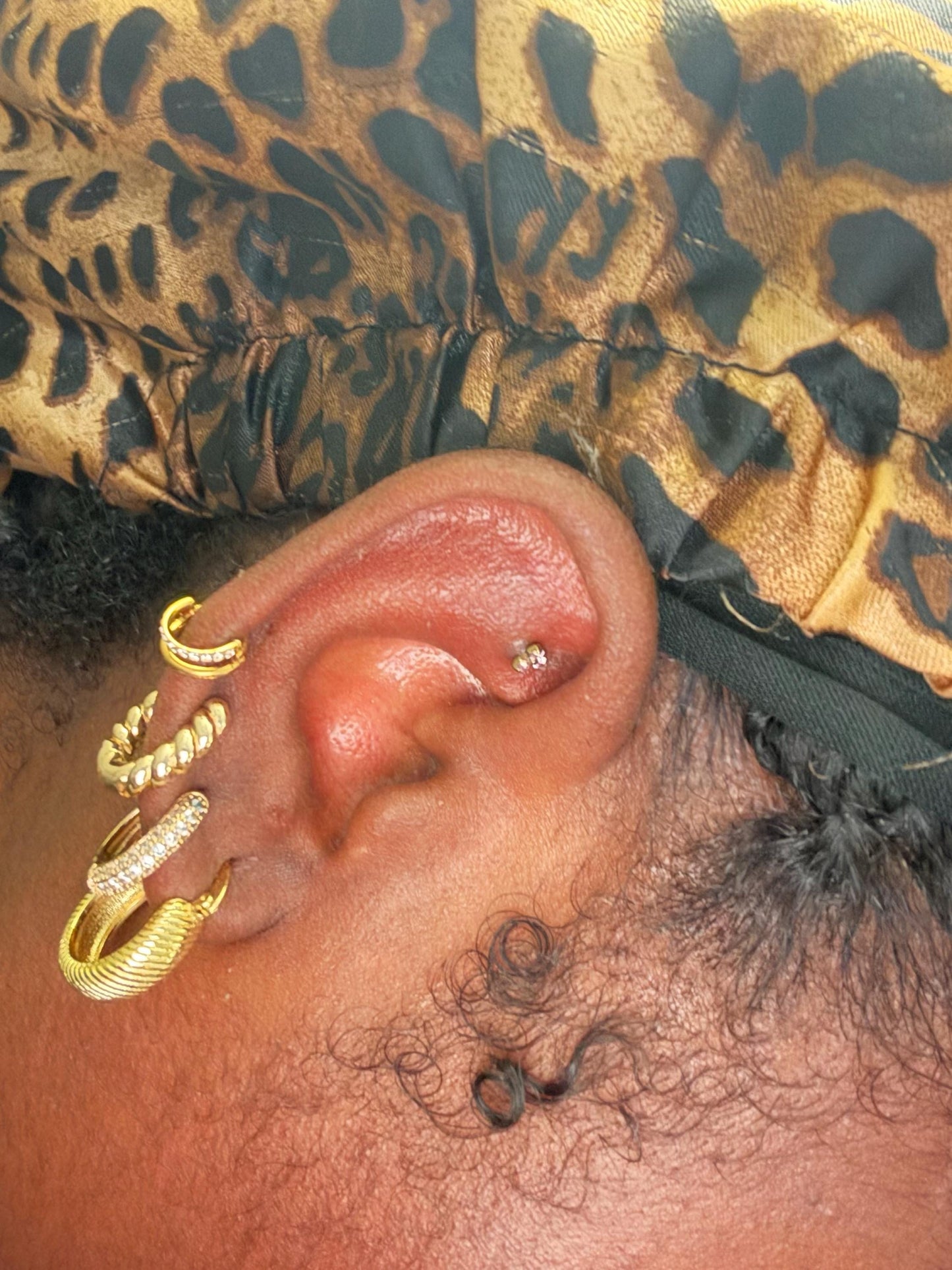 18G/16G  Titanium Double Hinge Hoop •  Hinged Segment Nose Ring •  Septum Clicker Ring • Cartilage Hoop • Helix Earring Hoop