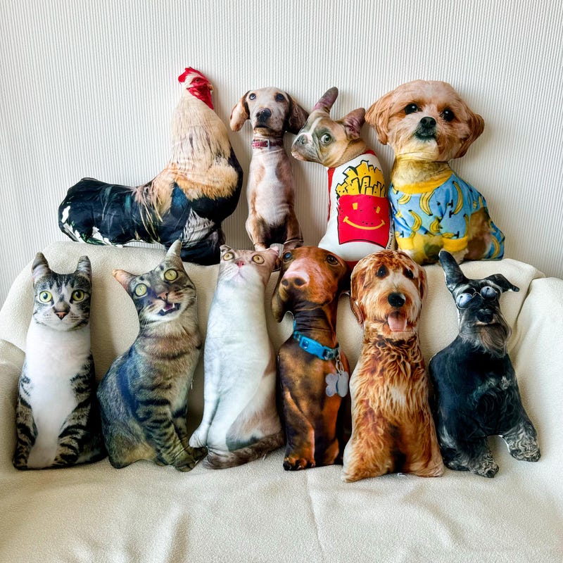 Personalized Pet Pillow, Custom 3D Pet Pillow, Ugly Pet Pillow, Pet Shaped Pillow, Pet Lover Gift, Gift for Cat Lover, Back to School Gift