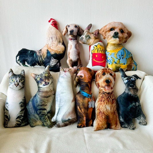 Personalized Pet Pillow, Custom 3D Pet Pillow, Ugly Pet Pillow, Pet Shaped Pillow, Pet Lover Gift, Gift for Cat Lover, Back to School Gift
